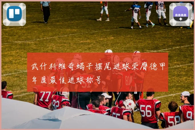 武什科维奇蝎子摆尾进球荣膺德甲年度最佳进球称号