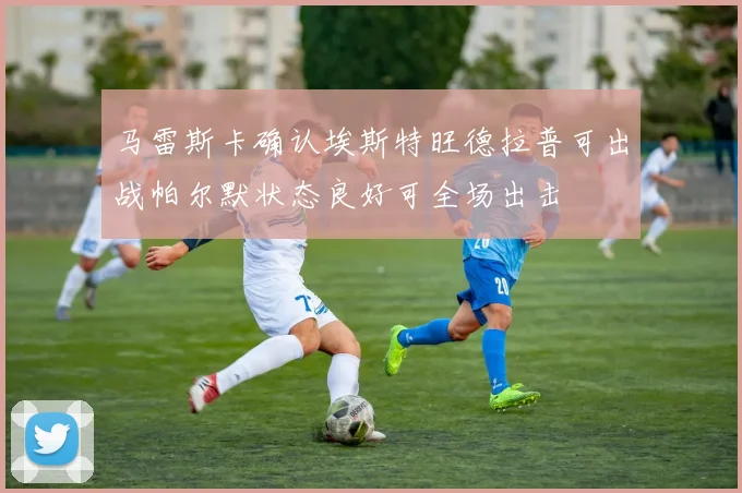 马雷斯卡确认埃斯特旺德拉普可出战帕尔默状态良好可全场出击