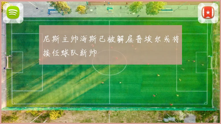 尼斯主帅海斯已被解雇普埃尔或将接任球队新帅