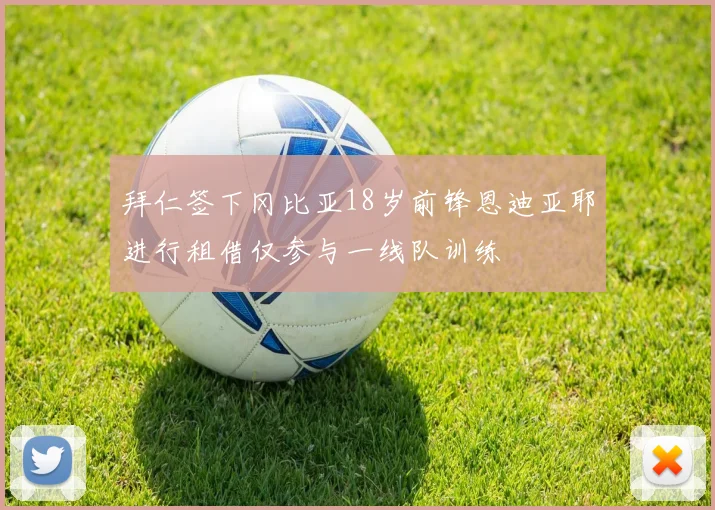 拜仁签下冈比亚18岁前锋恩迪亚耶进行租借仅参与一线队训练