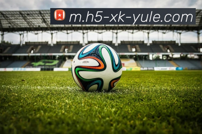 星空娱乐平台生态图